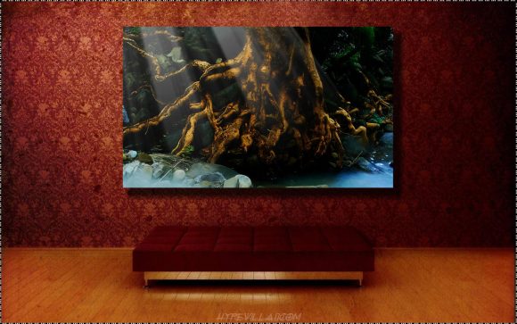 A stunning  museum quality canvas gallery wrap, Dream, brown, treen, roots, canvas print, photograph, photography, sepia, abstract, photo