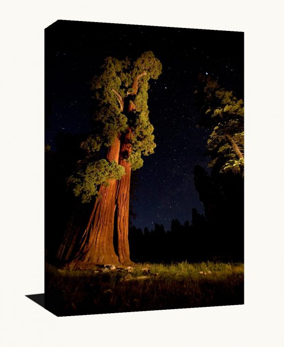 A stunning photo museum quality canvas gallery wrap of an original photograph I took in Sequoia National Park at night.