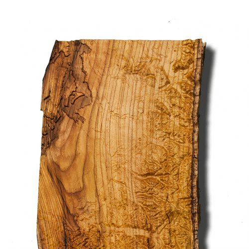 Seattle and Portland Area Topographical Map from a natural live edge wood slab,  Washington, Oregon, rustic fine art one of a kind piece.