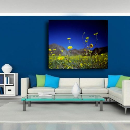 A stunning museum quality canvas gallery wrap. flowers, blue, yellow, death Valley, California, Desert, Home decor, photography, photo print