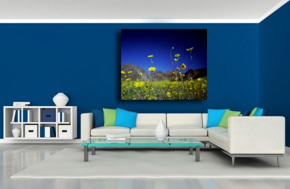 A stunning museum quality canvas gallery wrap. flowers, blue, yellow, death Valley, California, Desert, Home decor, photography, photo print