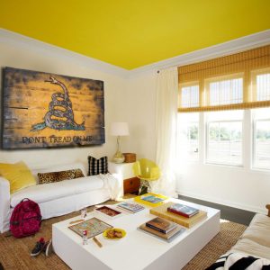 Gadsden Flag, Don't Tread On Me, Limited Edition, Weathered Wood One of a kind ,vintage, art, distressed, weathered, recycled, snake, yellow