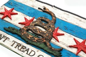 Gadsden Flag  with Chicago flag mashup, Don't Tread On Me, Weathered Wood One of a kind ,vintage, art, distressed, weathered, reclaim, snake
