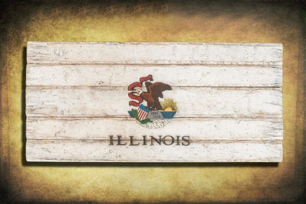 Handmade, Distressed Wooden Illinois State Flag, vintage, art, distressed, weathered, recycled, home decor, Wall art, reclaimed, White