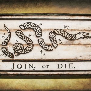 Join or Die Flag, Limited Edition, Weathered Wood One of a kind ,vintage, art, distressed, weathered, recycled, snake, white