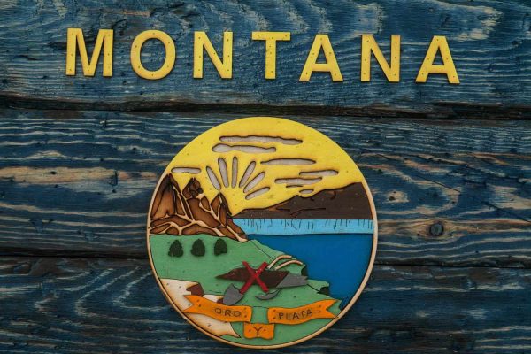 montana-state-flag-handmade-distressed-wooden-vintage-art-distressed-weathered-recycled-home-decor-wall-art-reclaimed-blue-59b730315.jpg Montana State Flag, Handmade, Distressed Wooden ,vintage, art, distressed, weathered, recycled, home decor, Wall art, reclaimed, Blue