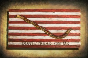 Navy Jack, Don't Tread On Me, Limited Edition, Weathered Wood One of a kind ,vintage, art, distressed, weathered, recycled, snake, yellow