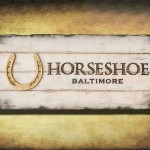 Personalized Bar sign for your home bar or establishment, distressed wood, antique, barn wood, recycled, European style, rustic, brown, tan,