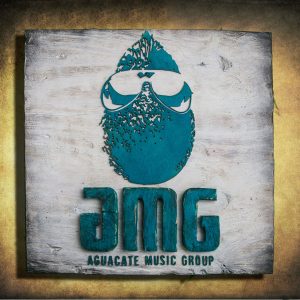 Personalized Bar sign for your home bar or establishment, distressed wood, antique, barn wood, recycled, European style, rustic, brown, tan,