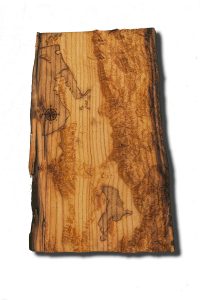 Salt Lake City Utah Area Topographical Map from a natural live edge wood slab,  California, vintage, rustic fine art one of a kind piece.