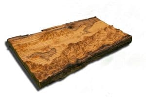 Salt Lake City Utah Area Topographical Map from a natural live edge wood slab,  California, vintage, rustic fine art one of a kind piece.