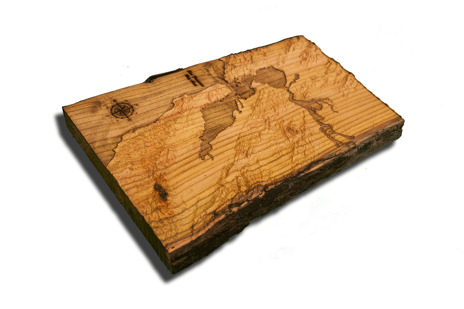 San Francisco Bay Area Topographical Map from a natural live edge wood slab,  California, vintage, rustic fine art one of a kind piece.