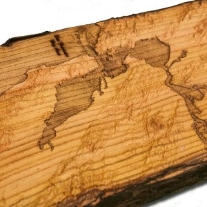 San Francisco Bay Area Topographical Map from a natural live edge wood slab, California, vintage, rustic fine art one of a kind piece.