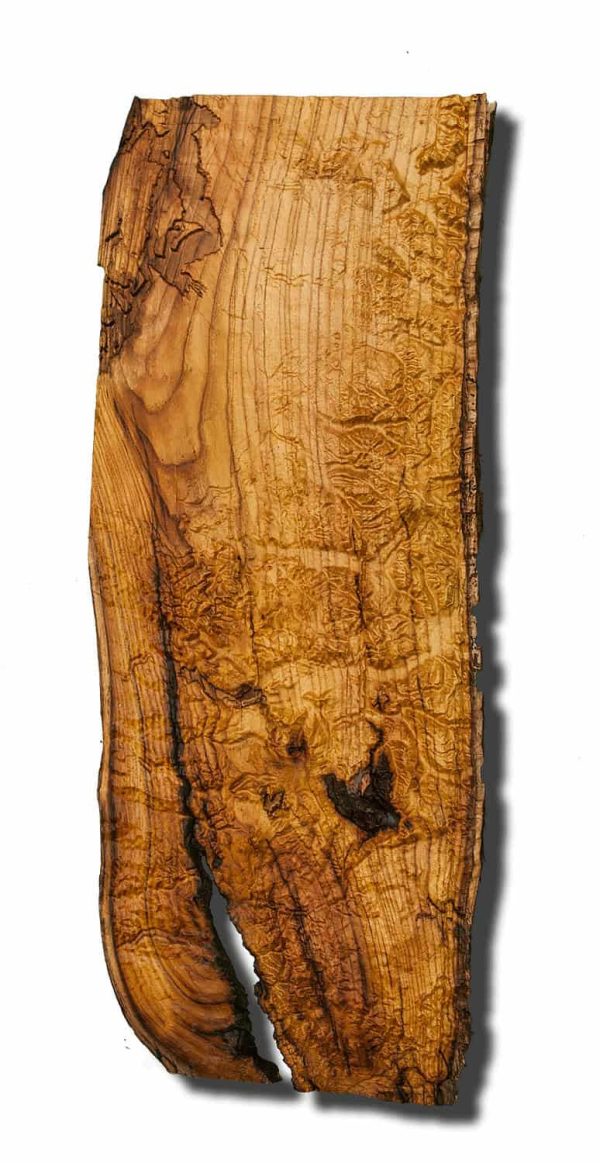 seattle-and-portland-area-topographical-map-from-a-natural-live-edge-wood-slab-washington-oregon-rustic-fine-art-one-of-a-kind-piece-59b72fc13.jpg Seattle and Portland Area Topographical Map from a natural live edge wood slab, Washington, Oregon, rustic fine art one of a kind piece.