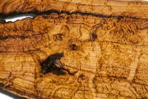Seattle and Portland Area Topographical Map from a natural live edge wood slab,  Washington, Oregon, rustic fine art one of a kind piece.