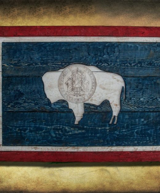 Weathered Wood One of a kind Wyoming State flag, Wooden, vintage, art, distressed, weathered, recycled, North West art flag art. Buffalo