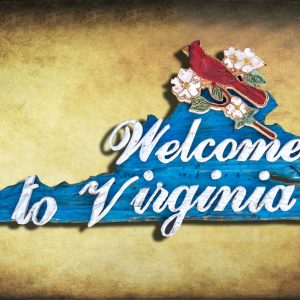 Welcome to Virginia Sign, Weathered Wood, One of a kind, 3D, Wooden, vintage, art, distressed, cardinal, Blue, wall art, VA, home decor